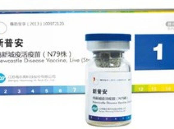 新普安---防控新城疫的好疫苗